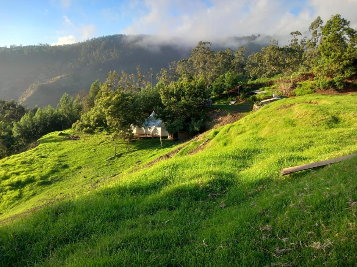 Arambha Ecovillage Farmstay Tabua  Экстерьер фото