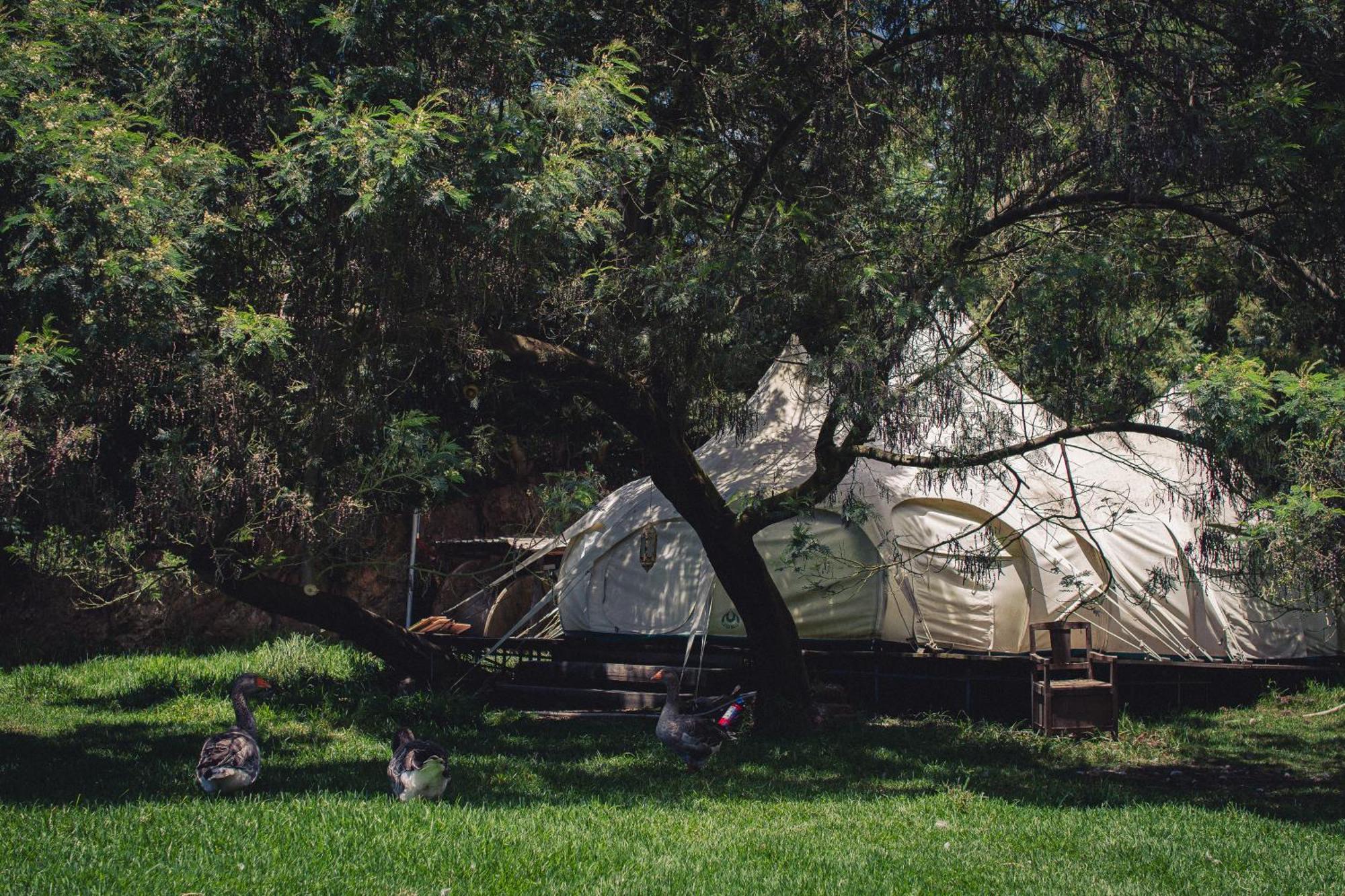 Arambha Ecovillage Farmstay Tabua  Экстерьер фото