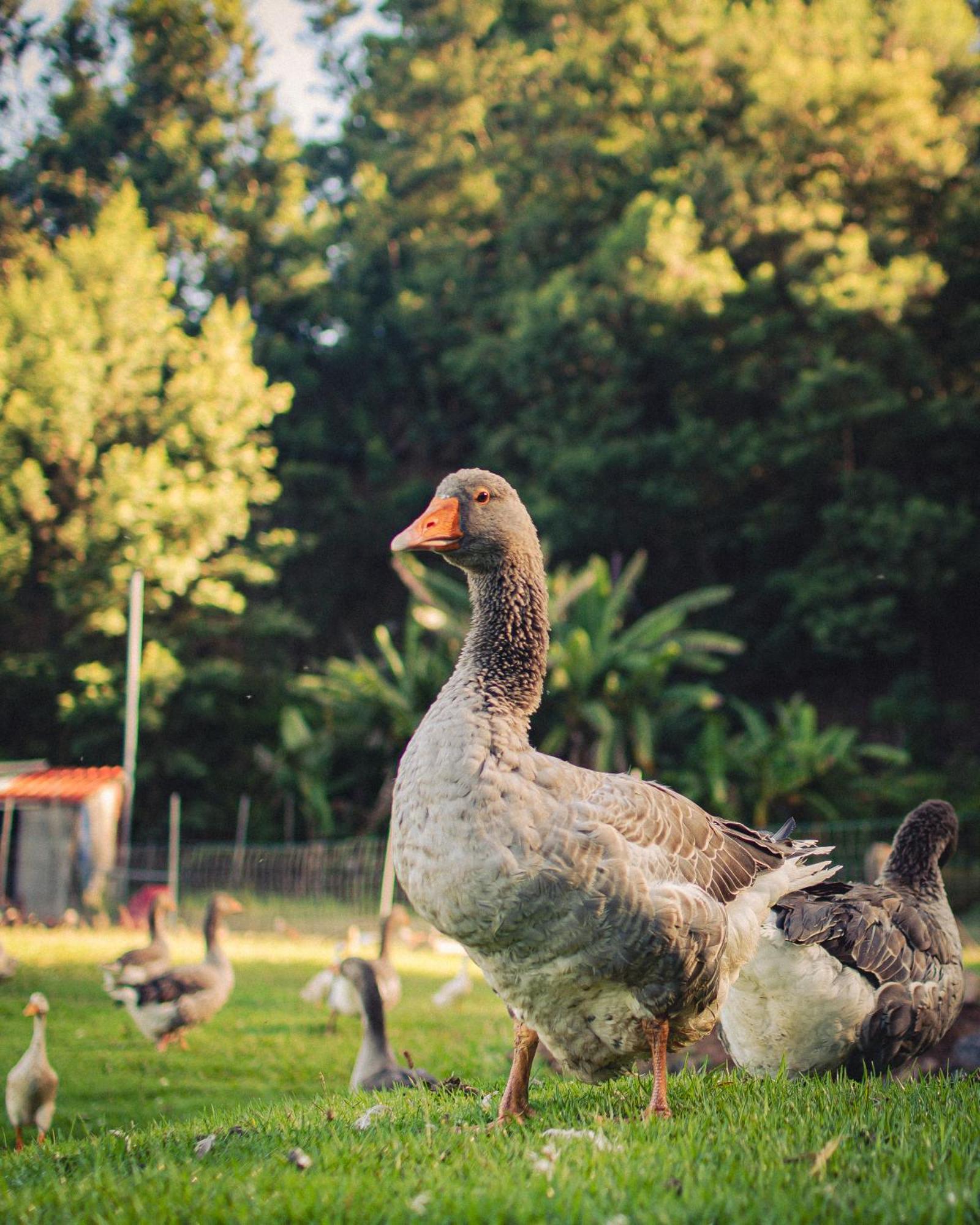 Arambha Ecovillage Farmstay Tabua  Экстерьер фото
