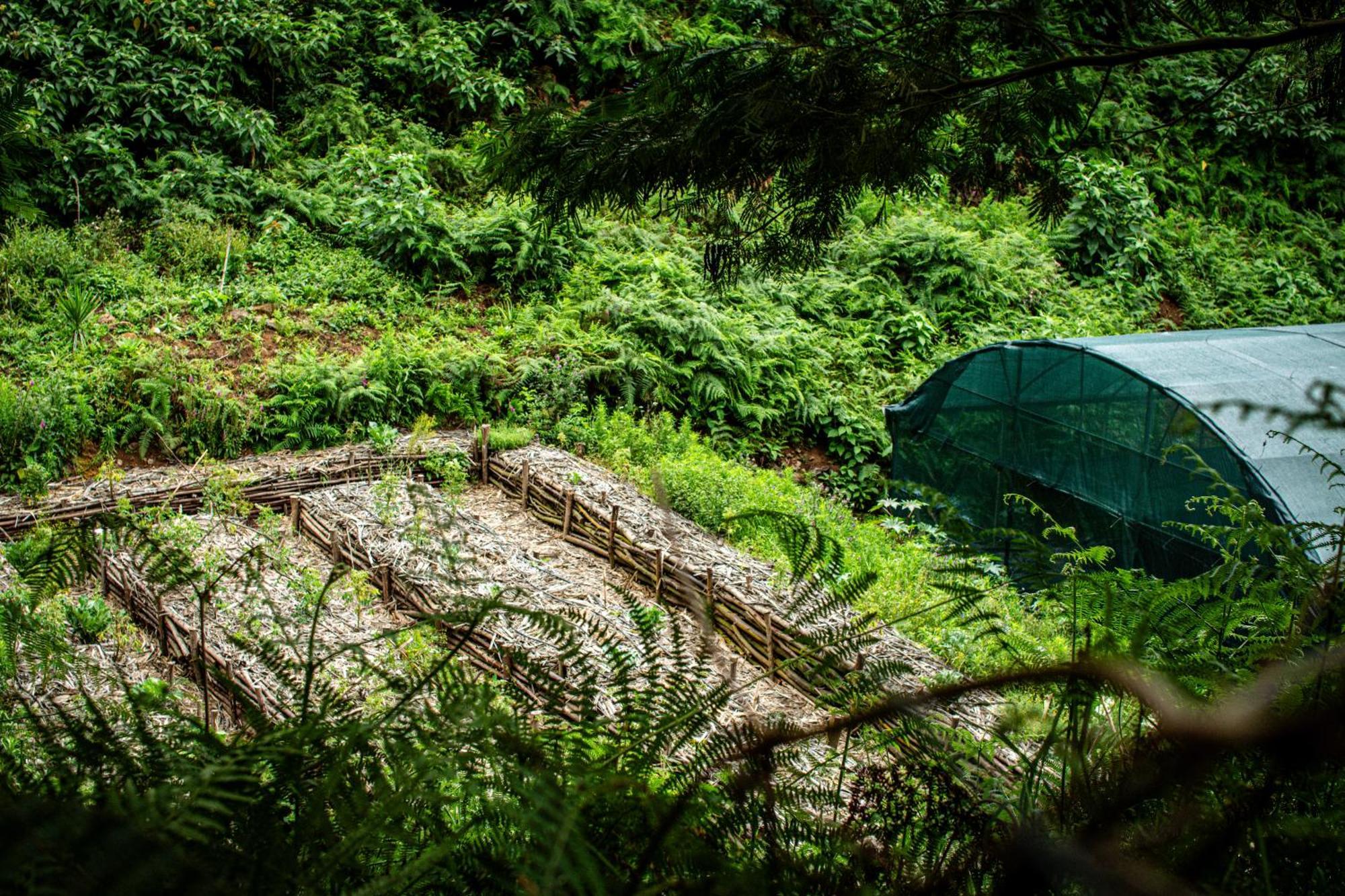 Arambha Ecovillage Farmstay Tabua  Экстерьер фото
